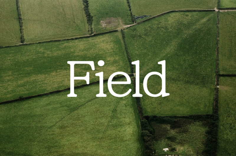 Field Landscape 3072 X 2036px3