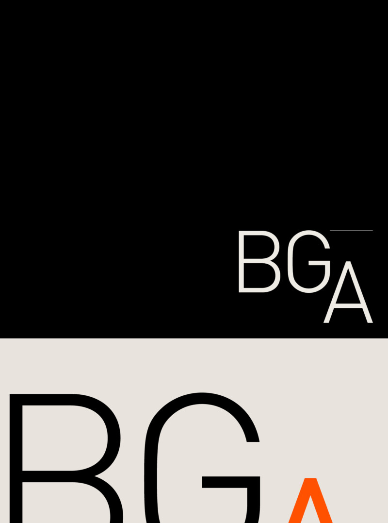 BGA P02